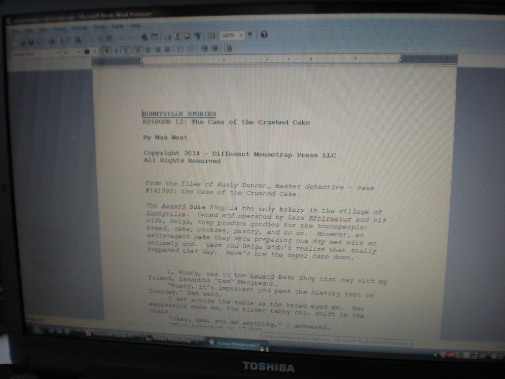 Sunnyville script gets typed up