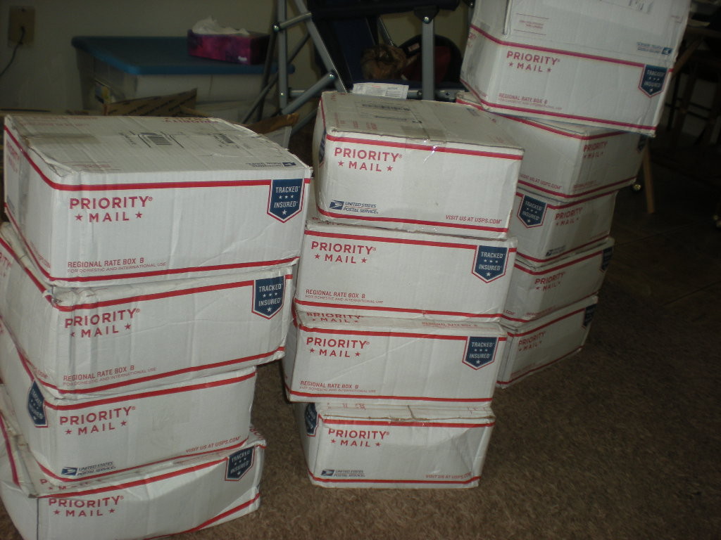 Boxes containing Sunnyville Stories books